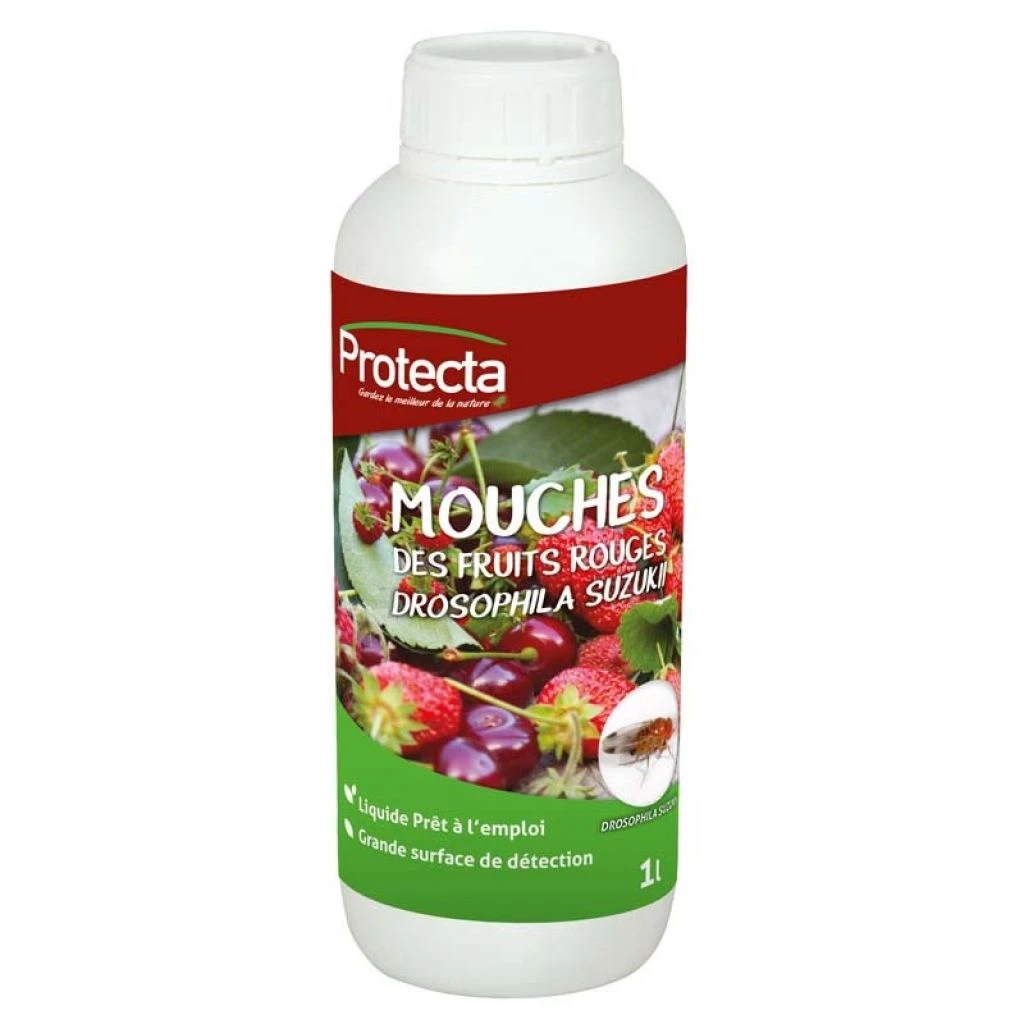 Appât Liquide Pour Mouche Des Fruits Rouges Drosophila Suzukii Protecta 3 Appât Liquide Pour Mouche Des Fruits Rouges Drosophila Suzukii Protecta