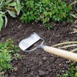 Binette Hollandaise Burgon & Ball - Gamme RHS 7 Binette Hollandaise Burgon & Ball - Gamme RHS -Plantes De Jardin Boutique Binette hollandaise Burgon et Ball gamme RHS 99299 3