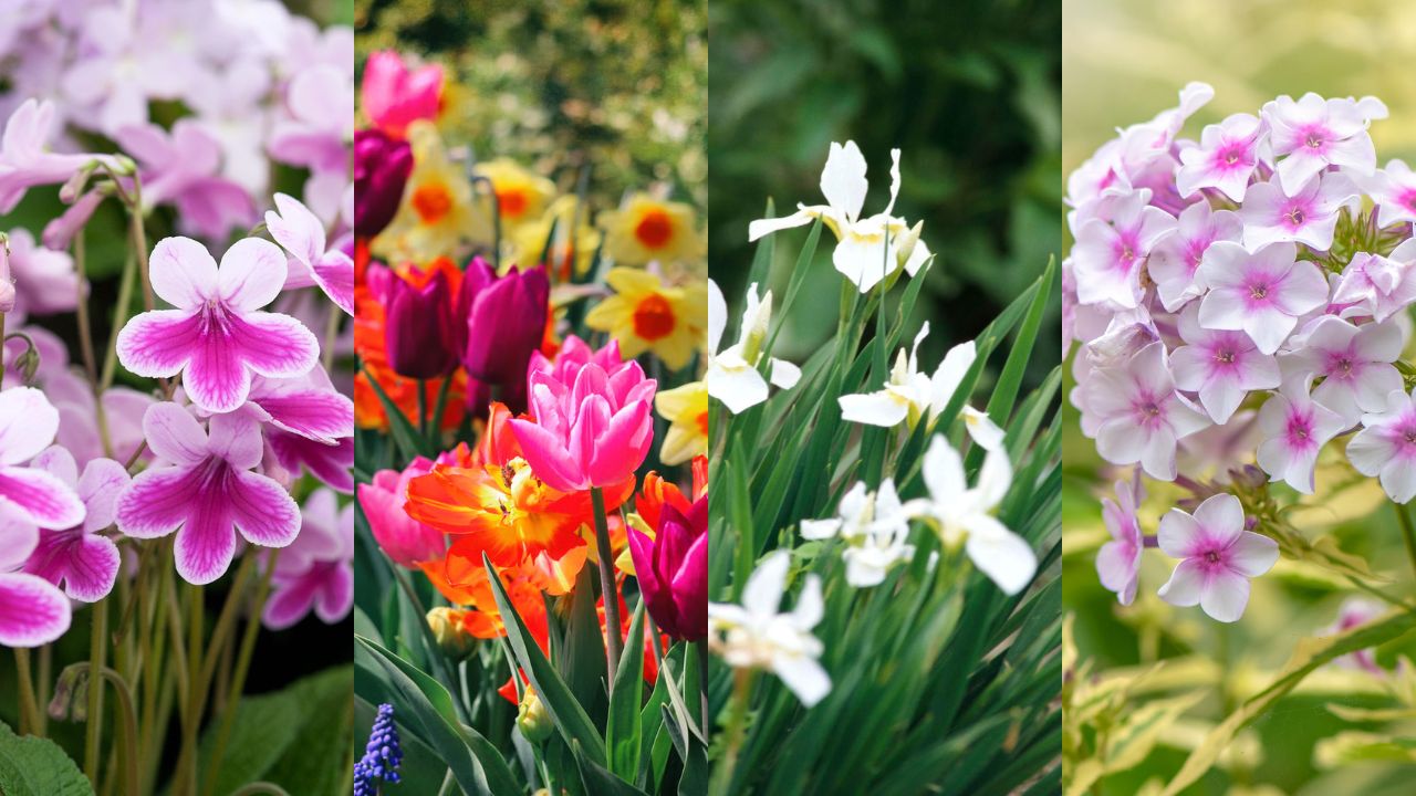 Devant -Plantes De Jardin Boutique Blue Grey Bold Minimalist Outfit Ideas Fashion Youtube Thumbnail