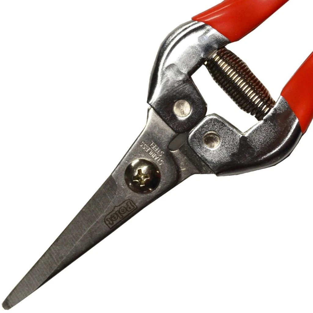 Epinette Traditionnelle Polet - Sécateur à Fruits 4 Epinette Traditionnelle Polet - Sécateur à Fruits – Image 2