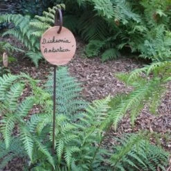 Etiquette à Suspendre Ronde En Châtaignier Ø9cm -Plantes De Jardin Boutique Etiquette a suspendre ronde en chataignier 9cm 90738 2