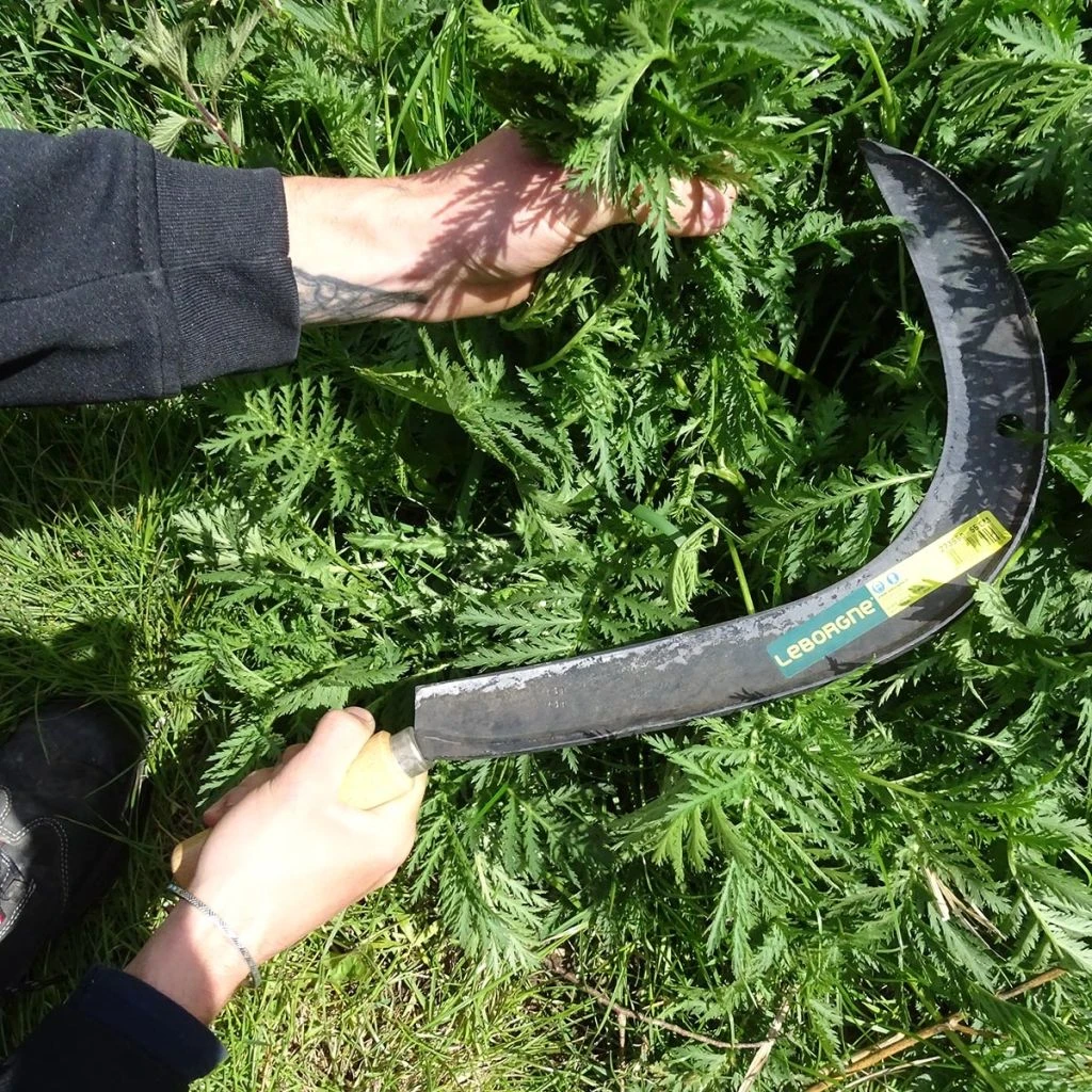 Faucille Manuelle à Broussaille 3 Faucille Manuelle à Broussaille