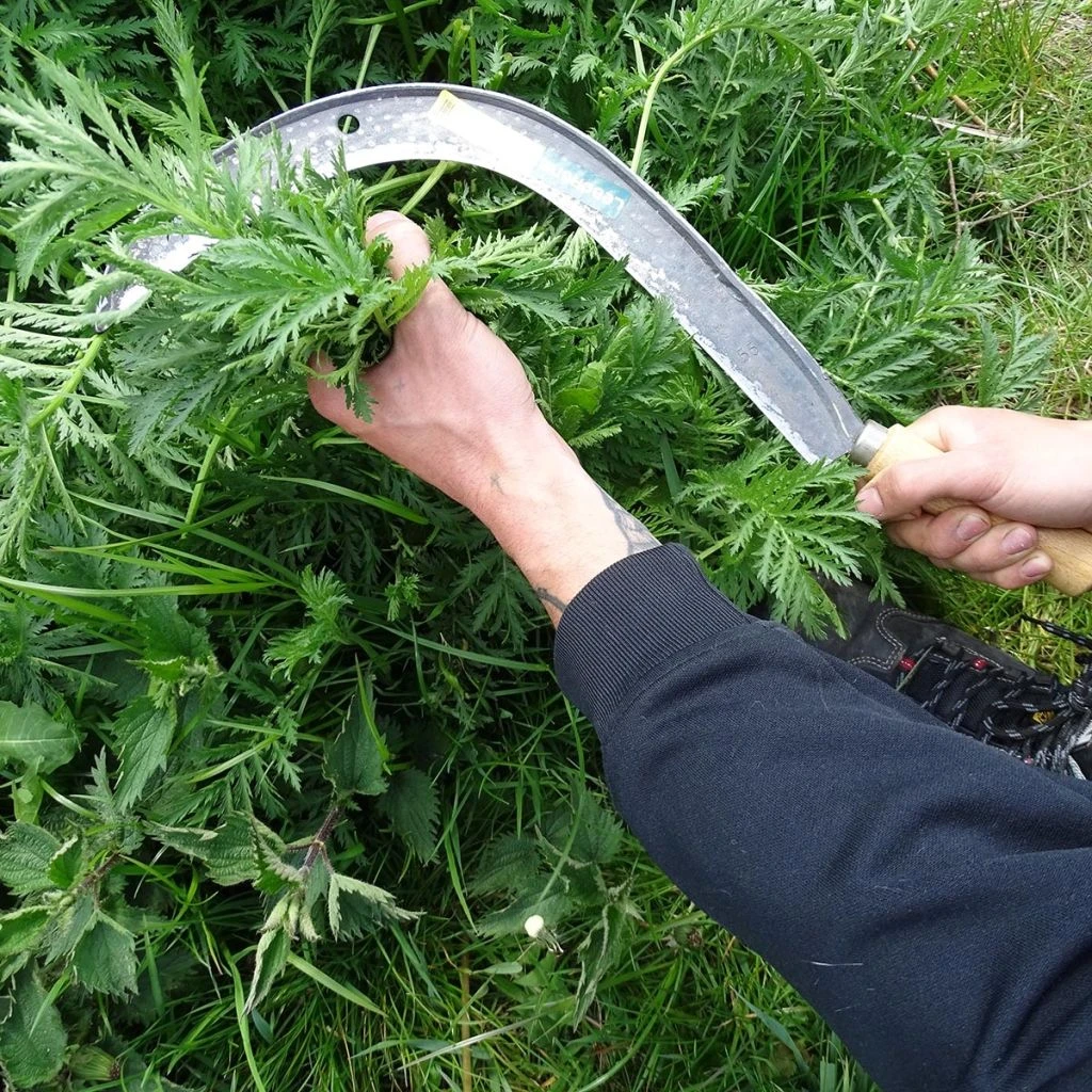 Faucille Manuelle à Broussaille 5 Faucille Manuelle à Broussaille – Image 3