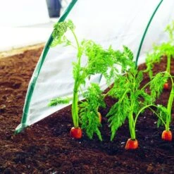 Film De Forçage Spécial Primeurs 2 X 5 M CLIMAFILM -Plantes De Jardin Boutique Film de forcage special primeurs 2x5m CLIMAFILM 91199 3