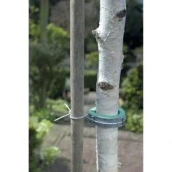 Collier Mousse Pour Jeune Arbre Mouss -Plantes De Jardin Boutique Nortene CELLOPLAST Collier mousse pour jeune arbre 90178 2