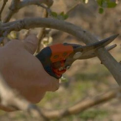 Sécateur Professionnel Ergonomique à Poignée Rotative Taille S Tête N°2 Bahco PXR-S2 -Plantes De Jardin Boutique Secateur professionnel ergonomique a poignee rotative PXR S2 988381 4