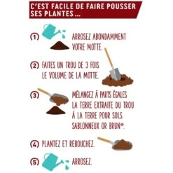 Terre Pour Sol Sablonneux Or Brun Sac De 20 L -Plantes De Jardin Boutique Terre pour sol sablonneux Or Brun sac de 40 L IF 17064 3