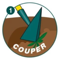 Binette Japonaise Leborgne NaturOvert -Plantes De Jardin Boutique binette japonaise naturovert 03t1