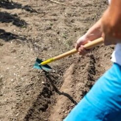 Binette Japonaise Leborgne NaturOvert -Plantes De Jardin Boutique binette japonaise naturovert 06t1