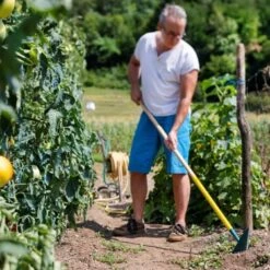 Binette Japonaise Leborgne NaturOvert -Plantes De Jardin Boutique binette japonaise naturovert 07t1