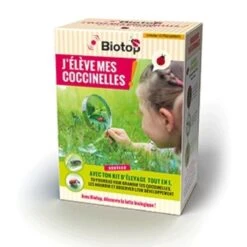 Kit Pédagogique D’élevage De Coccinelles Biotop